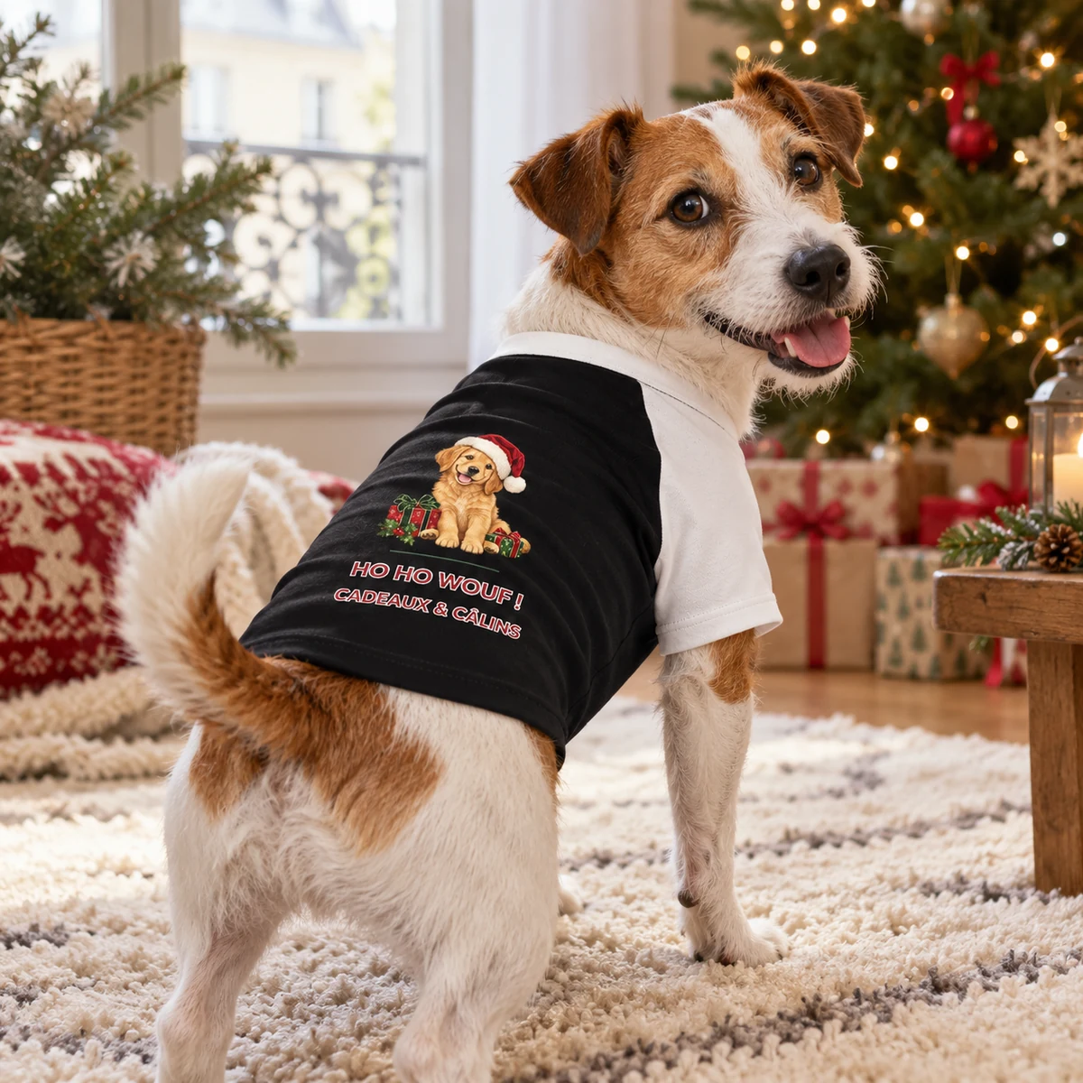 T-shirt de Noël · Chien · Produit porté ou utilisé par un animal
